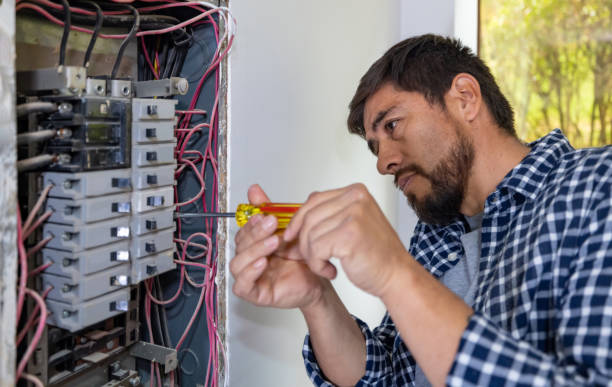 Best Ceiling Fan Installation Electrician  in Bremerton, WA